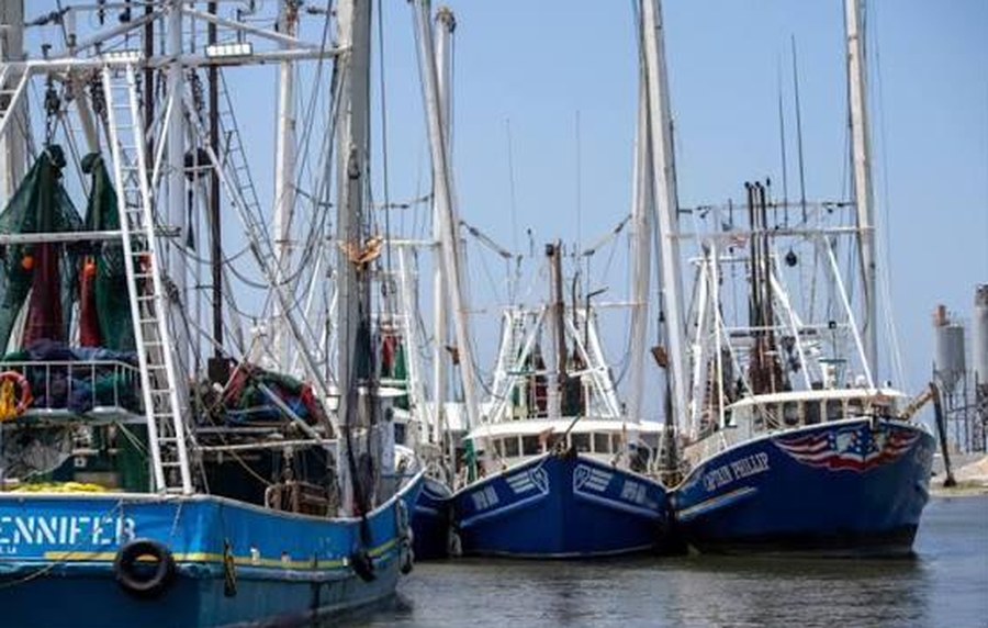 Port Arthur shrimpers
